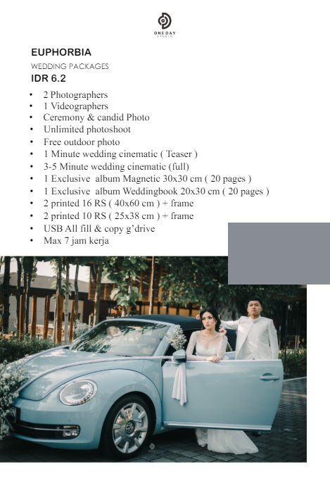 Foto vendor FOTO ONE DAY PHOTO  Paket EUPHORBIA 